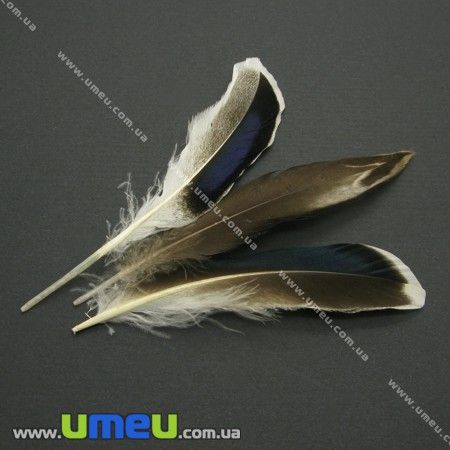 Перья Утиные, Белые (натуральные), 10-12 см (PER-001764)
