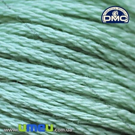 Муліне DMC 3817 сірувато-зелений, св. (DMC-006247)