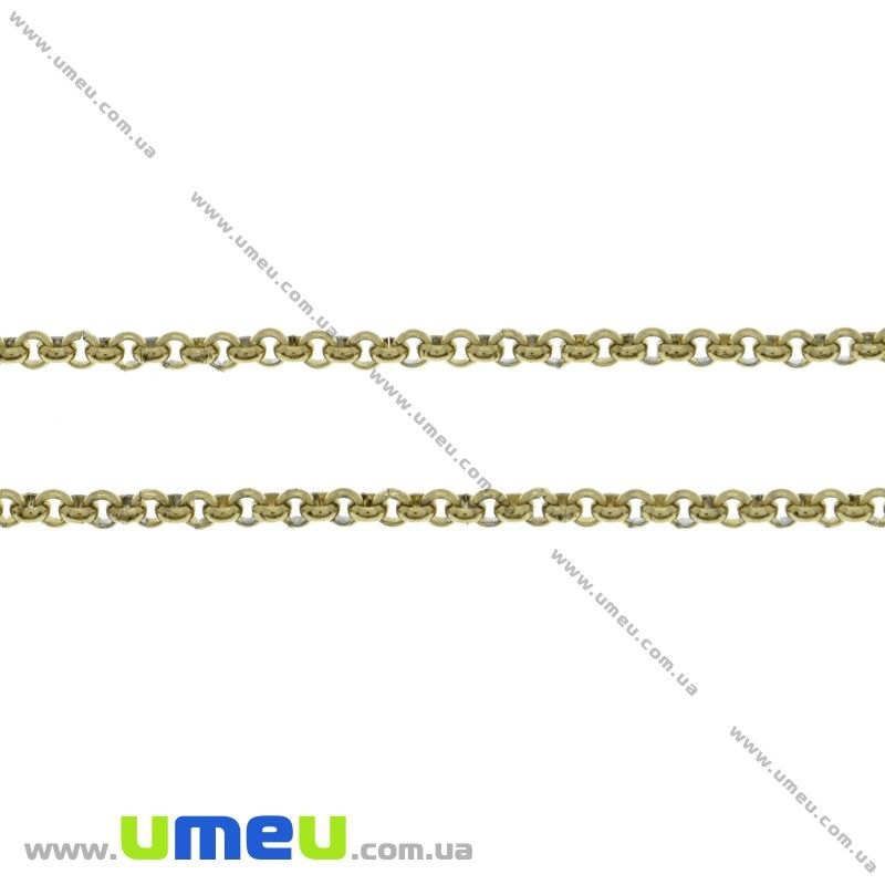 Ланцюг з нержавіючої сталі, Золото, 2 мм (STL-026043)