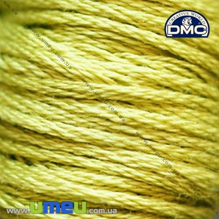 Муліне DMC 0166 Мох, ср.св. (DMC-005812)