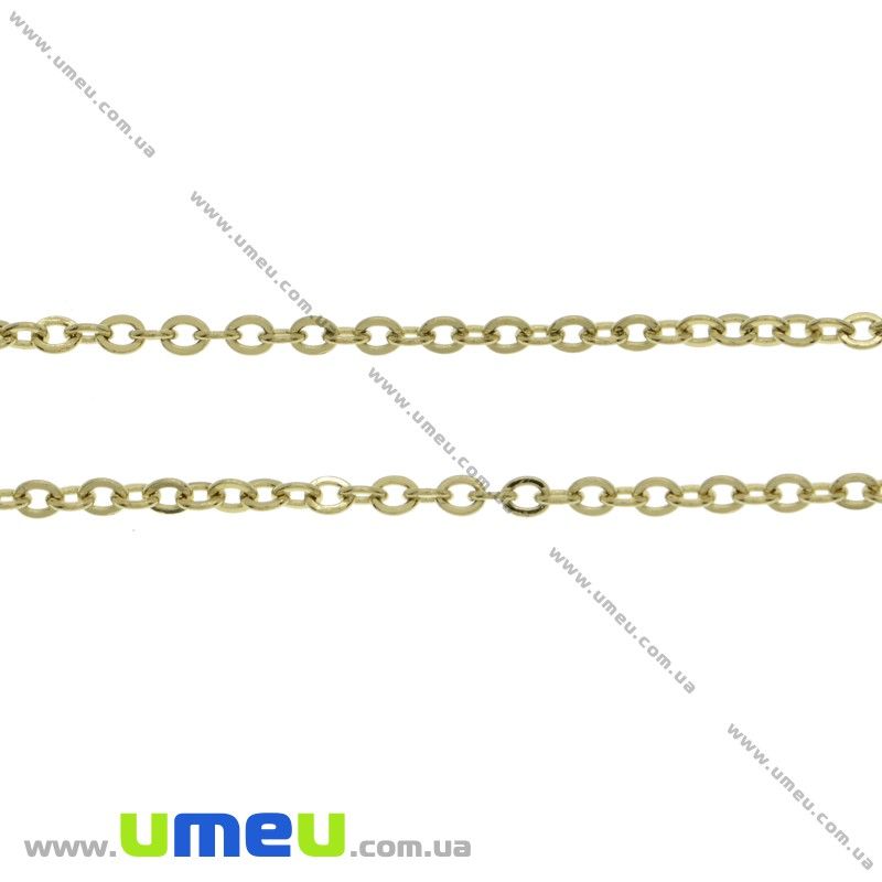 Ланцюг з нержавіючої сталі, Золото, 2,5х2 мм (STL-026041)