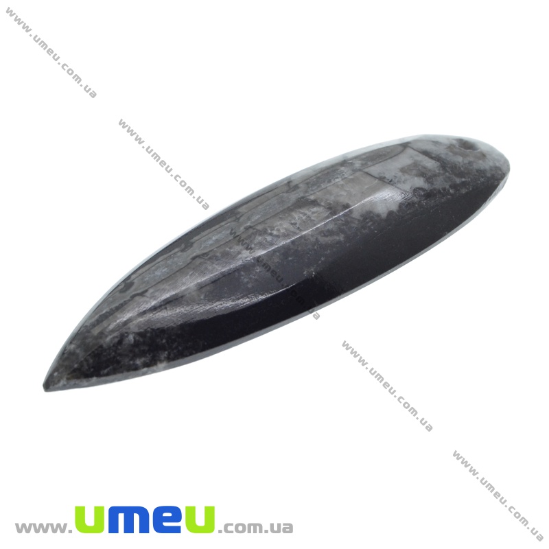 Подвеска из натурального камня, Ортоцерас, 68х21 мм (POD-011966)