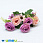 /p44804-buket-roz-s-romashkami-30-sm-persikovo-malinoviy/