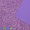 /ru/p47624-foamiran-glitterniy-kitay-20x30-sm-sireneviy/