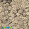 /p37550-payetki-indiya-kruglie-ploskie-4-mm-bezhevie/