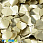 /p38102-payetki-indiya-listiki-15x14-mm-zolotistie-svetlie/