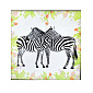 Набір для вишивання нитками, 5D Дві зебри, 47х47 см (SXM-061214)