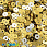 /ru/p37624-payetki-indiya-kruglie-ploskie-4-mm-zolotisto-serebristie/