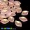 /p46164-busina-lampwork-lepestok-19x13-mm-persikovaya/