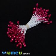 Тичинки на нитці маленькі, Малинові (DIF-045543)