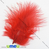 Пір'я Індички, Червоні, 4-9 см (PER-002770)