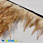 /p40438-perya-petuha-na-lente-7-12-sm-rizhie-naturalnie/