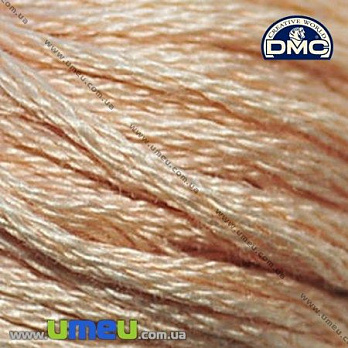 Муліне DMC 0945 Рудувато-коричневий (DMC-006062)