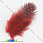 /p2629-perya-cesarki-krasnie-5-8-sm/