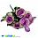 /p45790-buket-roz-32-sm-salatovo-sireneviy/