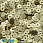 /p37642-payetki-indiya-kruglie-ploskie-4-mm-zolotistie/