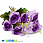 /p48291-buket-roz-s-romashkami-34-sm-sireneviy/
