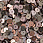 /ru/p51880-payetki-indiya-kruglie-ploskie-5-mm-miks-korichneviy/