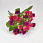 /p57671-buket-rozochek-s-gipsofiloyu-30-sm-fioletovo-rozoviy/