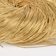Канітель гладка 1 мм, Золотиста (KNT-027956)