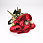 /p55177-buket-roz-33-sm-krasniy/