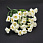 /p59276-buket-margaritok-33-sm/