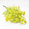 /p56947-buket-gipsofili-32-sm-zheltiy/