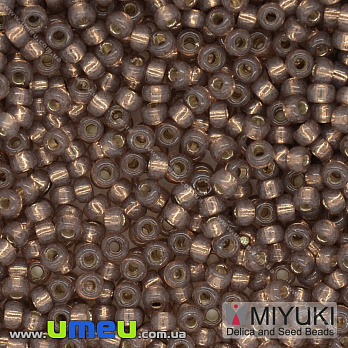 Бісер японський Miyuki круглий RR 11/0 №641, Коричневий (BIS-036702)
