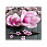 /p51361-nabor-almaznoy-zhivopisi-na-podramnike-magnoliya-30x30-sm/