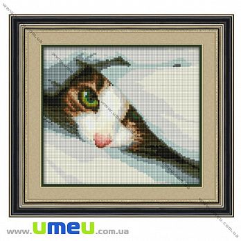 [Архів] Набір алмазного живопису Dream Art Сховався (кошеня) 30021, 22x25 см (SXM-035379)