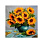 /p52413-nabor-almaznoy-zhivopisi-na-podramnike-30x30-sm-buket-podsolnuha/