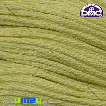 Мулине DMC 0011 Нежный зелёный, св. (DMC-034214)