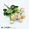 /p44839-buket-roz-33-sm-persikoviy/