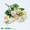 /p44841-buket-roz-33-sm-kremoviy/