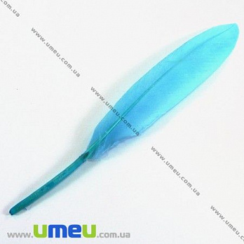 Пір'я Гусячі, Блакитні, 10-13 см (PER-002623)