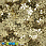 /p42007-payetki-indiya-snezhinka-9-mm-zolotistie/