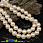 /p36102-busini-cheshskoe-steklo-preciosa-zhemchug-10-mm-70473/