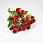 /p57668-buket-rozochek-s-gipsofiloyu-30-sm-krasniy/