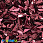 /ru/p37994-payetki-indiya-lodochka-9x6-mm-bordovie/