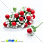 /ru/p15418-tichinki-na-provoloke-s-yagodkoy-krasno-belie/