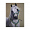 /ru/p51422-nabor-almaznoy-zhivopisi-na-podramnike-30x20-sm-belaya-loshad/