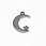 /p59150-podveska-iz-nerzh-stali-luna-so-zvezdoy-24x16-mm/
