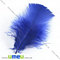 Пір'я Індички, Сині (Ультрамарин), 7-12 см (PER-001771)