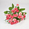 /p57670-buket-rozochek-s-gipsofiloyu-30-sm-rozoviy/