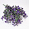 /p54106-buket-melkocveta-37-sm-fioletoviy/