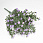 /p62140-buket-gipsofili-34-sm/