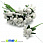 /ru/p15077-tichinki-na-provoloke-s-yagodkoy-belie/