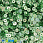 /p41794-payetki-indiya-kruglie-ploskie-4-mm-zelenie-av/