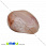 /p26132-galtovka-serdolik-40x29x19-mm/