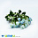 /p44726-buket-pionov-33-sm-myatno-goluboy/
